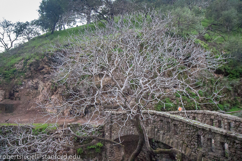 alum rock state park